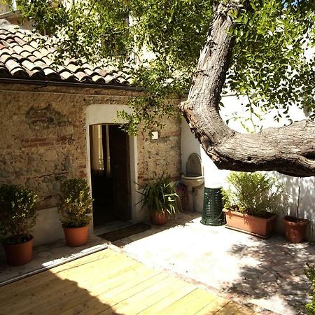 L'Albero Di Giuggiole Βίλα Κοσέντζα Εξωτερικό φωτογραφία